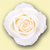 White Rose Bullet