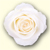White Rose Bullet