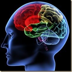 Brain Brain