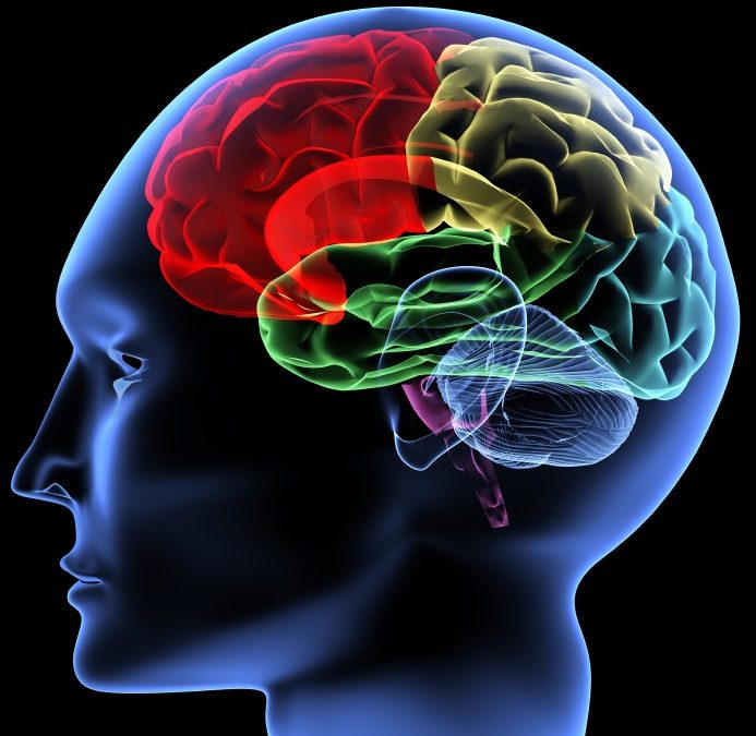 Training Your Mind
