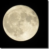 moon moon